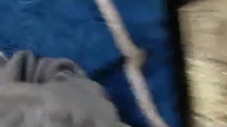 有希望的男人-爱玩游戏的女友-哥哥输了第三条腿就属于我的